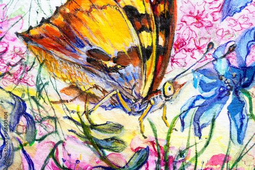 Butterflies and a flower closeup  watercolor on white background.