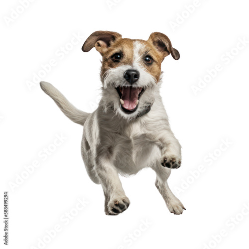 Happy dog jumping, isolated background. Generative AI © SimgeN