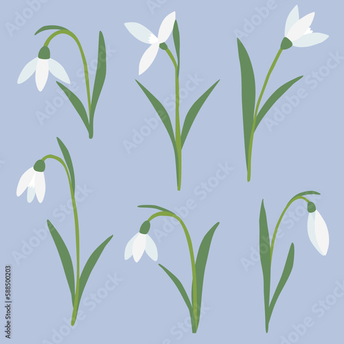 Set of different snowdrops spring flowers on blue background  vector