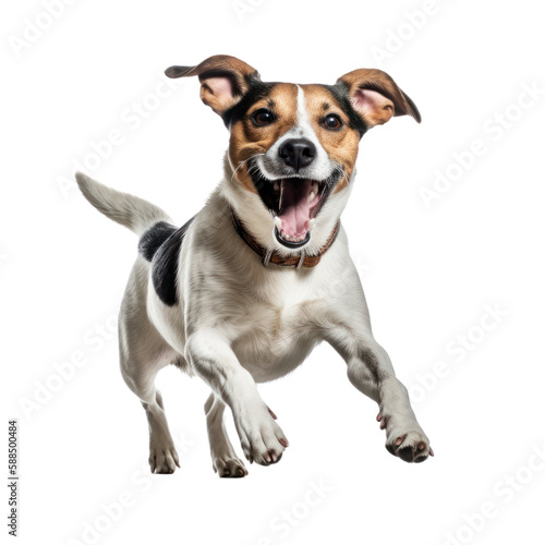 Happy dog jumping, isolated background. Generative AI © SimgeN
