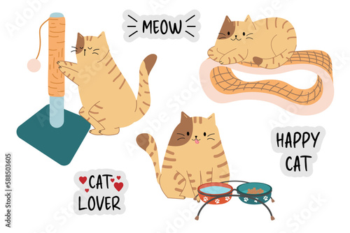 Vector set with a domestic cat. A cat sharpening its claws, lying on a scratching post and sitting near bowls. Accessories for the cat. Inscriptions meow, cat lover, happy cat.