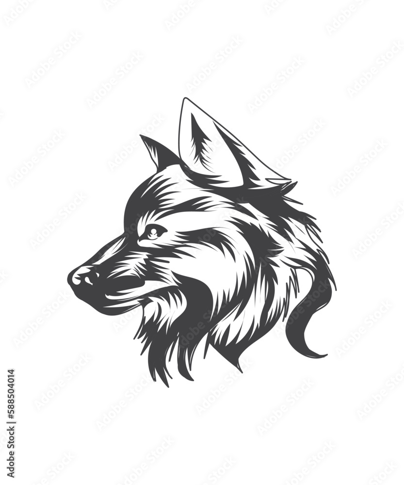 Fototapeta premium Wolf Vector Drawing Illustration Art