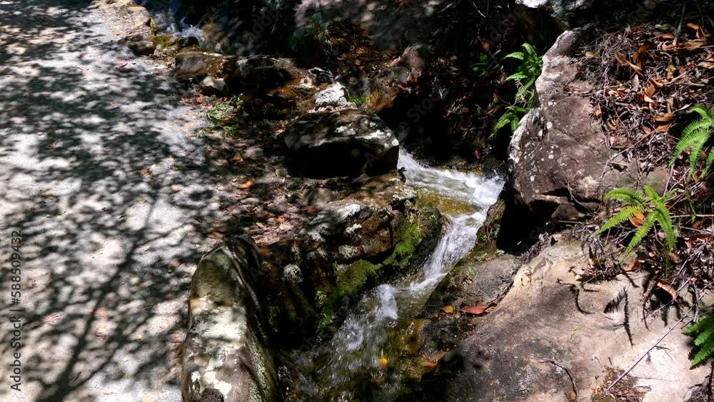 Still shot of a stream flowing near a path in the forest of Conceicao dos Gatos, Chapada Diamantina, Bahia, Brazil Still shot of a stream flowing near a path in the forest of Conceicao dos Gatos, Chapada Diamantina, Bahia, Brazil