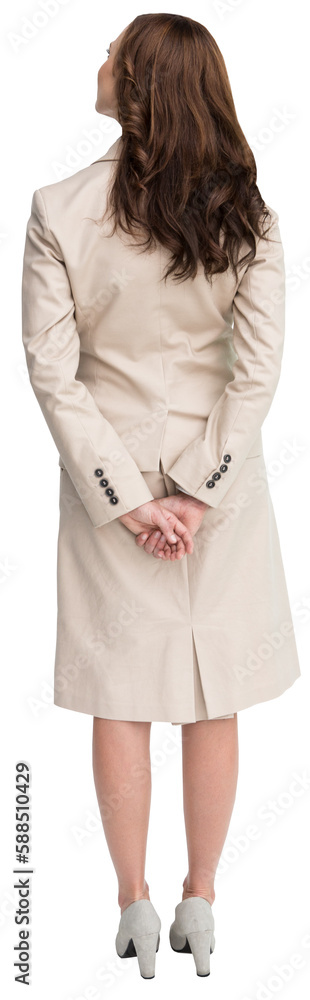 Fototapeta premium Rear view of businesswoman
