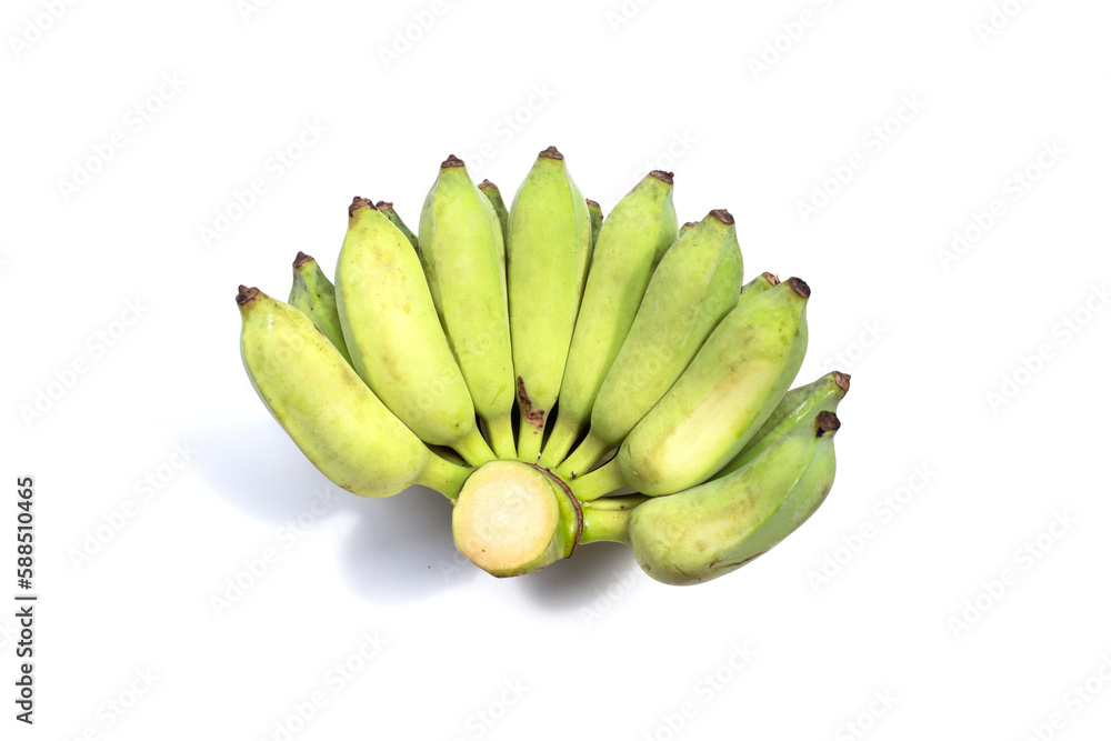 Cultivated banana on white background. Cultivated banana on white background.