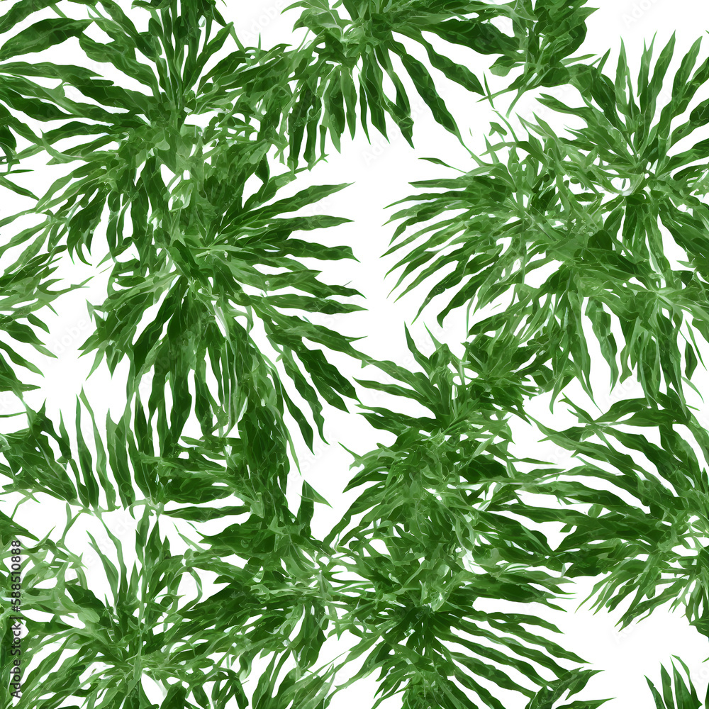 Plants In White Background 