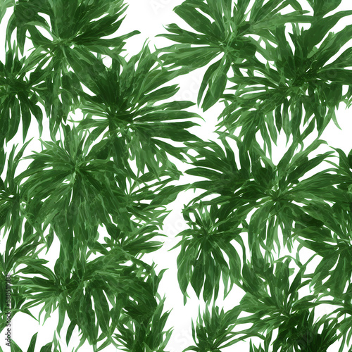 Plants In White Background  Generrative AI 