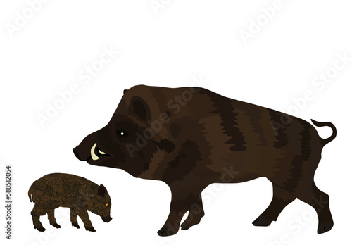 Male warthog with baby pig vector illustration isolated on white background. Pork meat. Wild boar animal family symbol. Swine breeding. Organic food. Little piglet symbol. photo