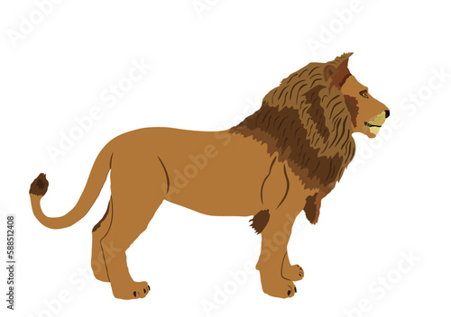 Lion vector illustration isolated on white background. Animal king. Big cat. Pride of Africa. Leo zodiac symbol. Wildlife predator. Lion symbol. African big five member.