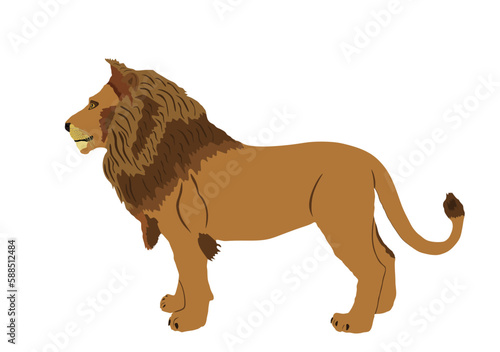 Lion vector illustration isolated on white background. Animal king. Big cat. Pride of Africa. Leo zodiac symbol. Wildlife predator. Lion symbol. African big five member.