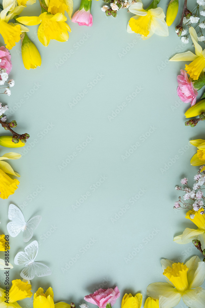 Spring flowers flat lay frame composition on colored background with copy space. Daffodils and willow with carnations top view