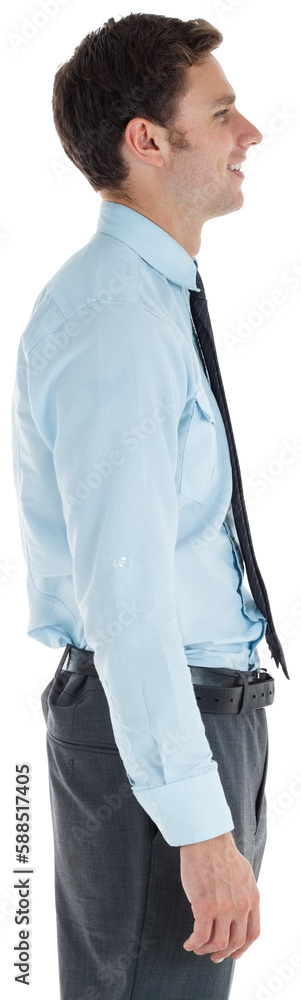 Fototapeta premium Smiling businessman standing with hand in pocket