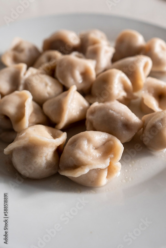 Serving of traditional Russian dough and meat dish on a white plate. Dumplings filled with meat, cheese and mushrooms. Popular Eastern European food