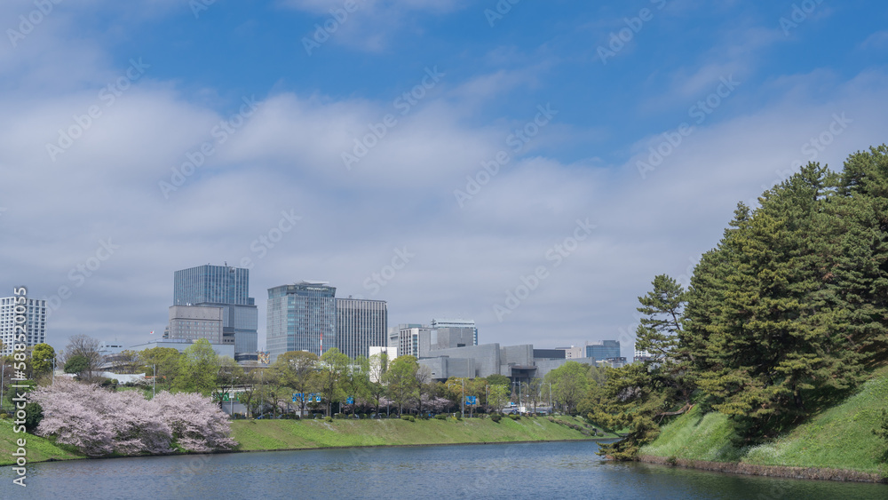 【東京都】春の桜と皇居・最高裁判所周辺