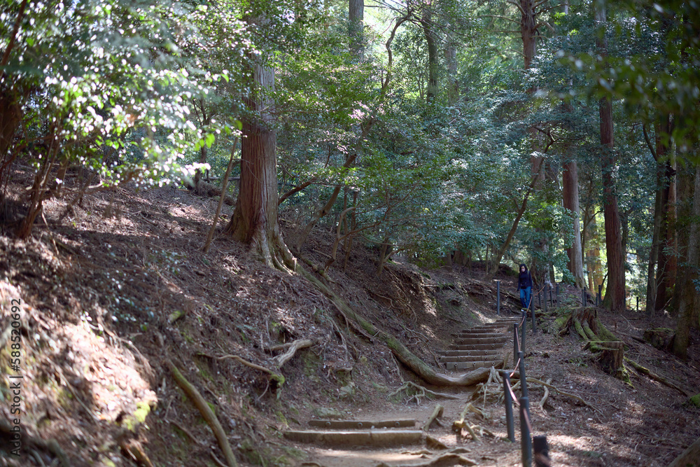 Fototapeta premium 鞍馬山の山道