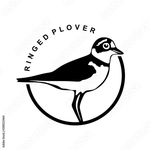 Ringed plover circle logo design. Bird symbol in minimal style. Ringed plover bird sign isolated on white background. Vector illustration