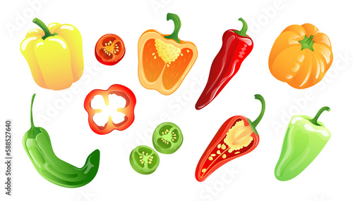 Set of illustrations of colorful variety of peppers in bright colors
