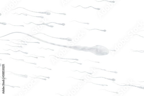 Tableau sur toile Movement of human sperms