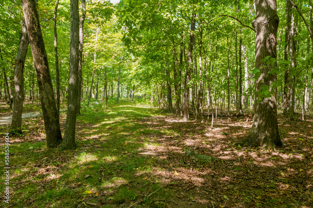 Fototapeta premium Native American Mounds At High Cliff State Park, Overlooking Lake Winnebago, Wisconsin