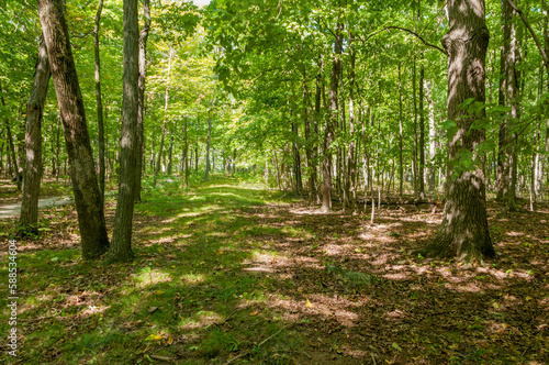 Native American Mounds At High Cliff State Park  Overlooking Lake Winnebago  Wisconsin