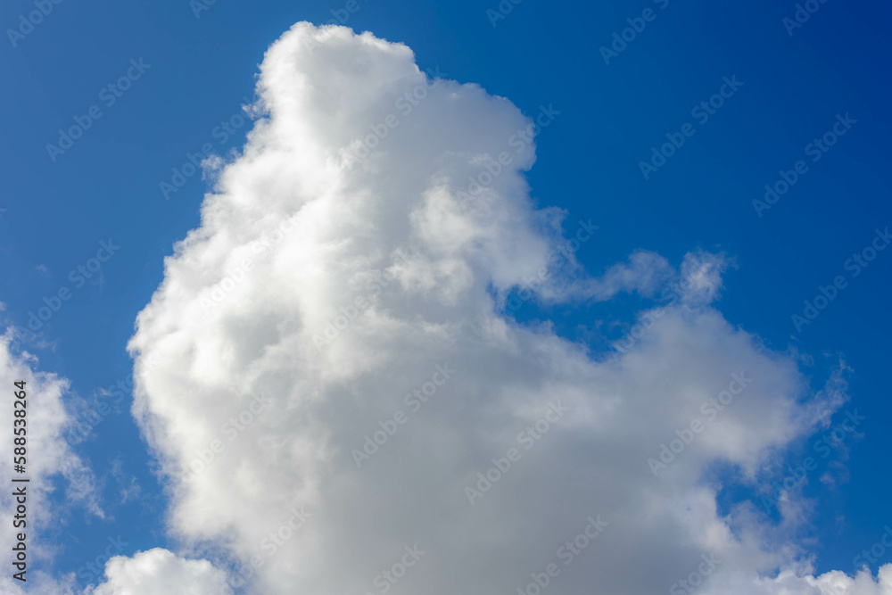 Beautiful white fluffy cloud floating in blue sky in sunny day, Cumulus ...