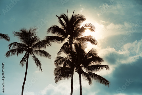 Fototapeta Naklejka Na Ścianę i Meble -  Palm trees and beautiful sunset sky 