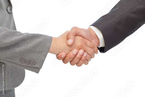 Handshake between two business people