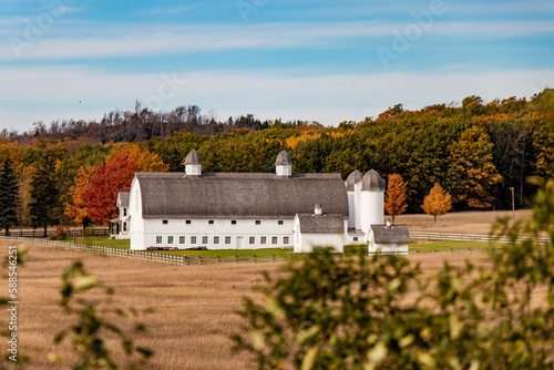 vineyard in autumn; leelanau peninsula, Michigan,  photo