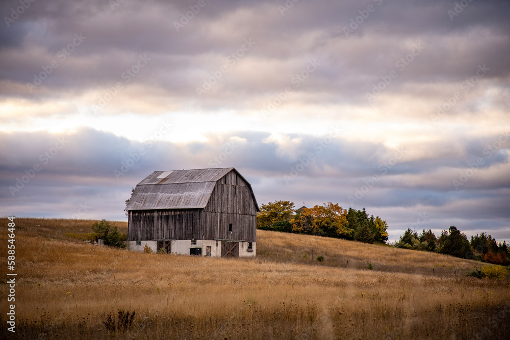 Obraz premium old barn in the field; Leelanau Peninsula, Michigan