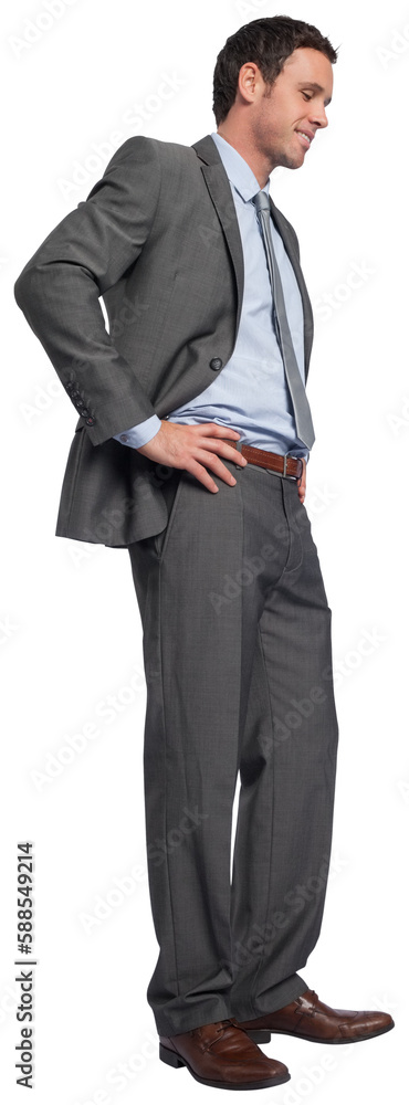 Smiling businessman with hands on hips Smiling businessman with hands on hips