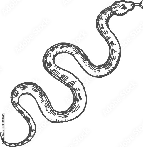 Reptile snake or serpent mythology animal sketch