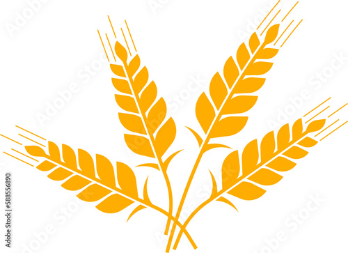 Farm cereals ears icon. Spikes of wheat, barley