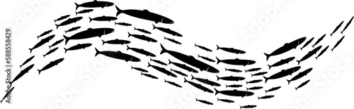 Photography Group of fish shoaling schooling in sea silhouette