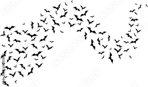 Flying halloween bats  wave on white background
