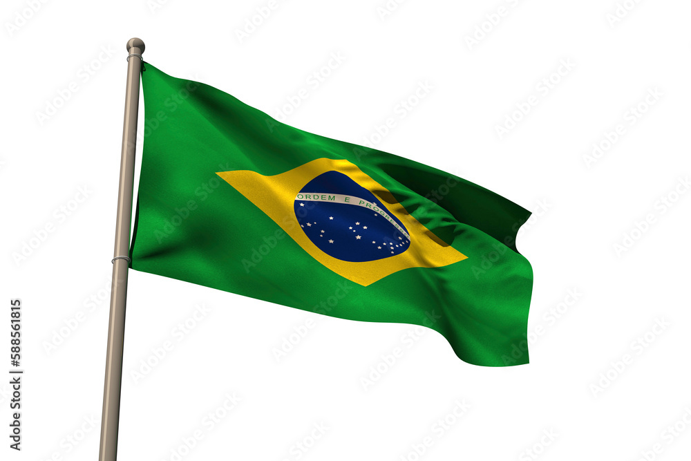 Obraz premium Brazil national flag