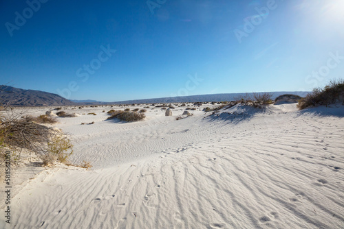 White sand dunes in Mexico