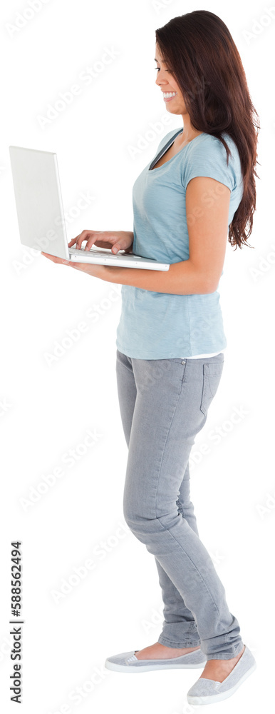 Fototapeta premium Gorgeous woman relaxing with her laptop