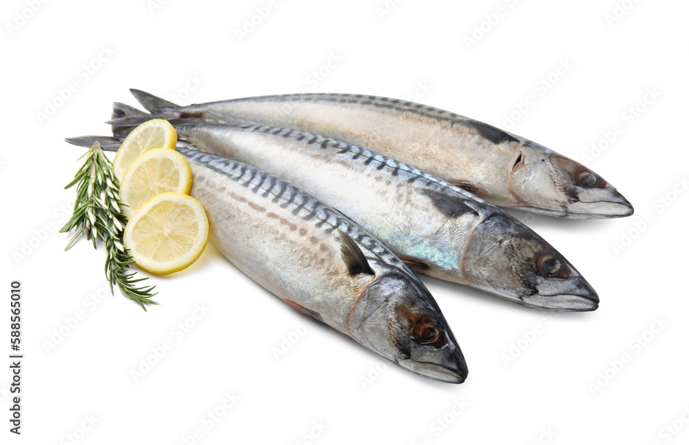 Raw mackerels, lemons and rosemary isolated on white Raw mackerels, lemons and rosemary isolated on white