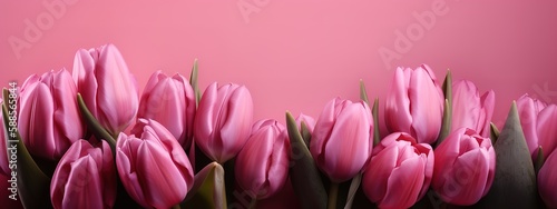Delicate pink tulips in a Mother's Day holiday banner © Fernando