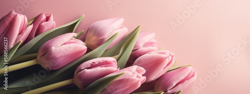 Pink tulip bouquet on matching background for Mother s Day