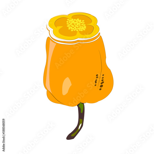 Habanero es una variedad picante de chile, chile amarillo, chile picante, chile con semilla.