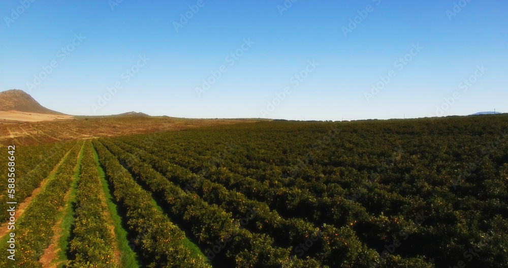 Agricultural land against sky