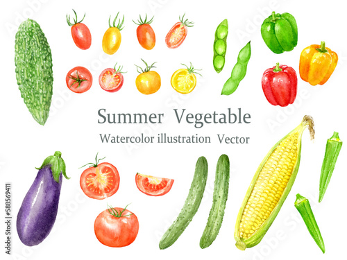 水彩で描いた夏野菜のベクターイラストセット