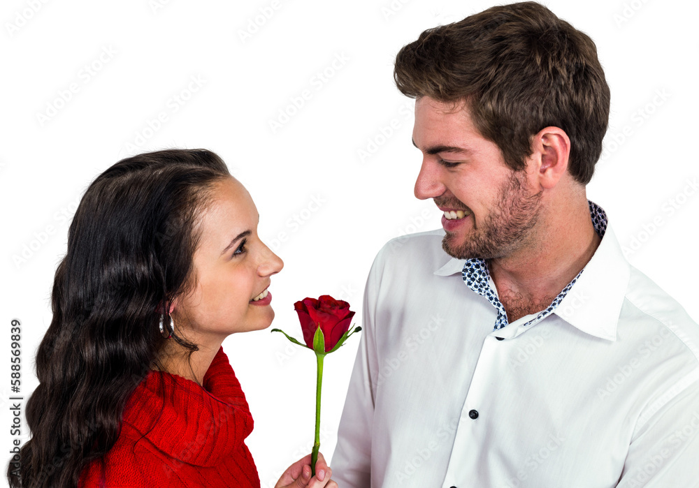 Fototapeta premium Smiling couple holding rose