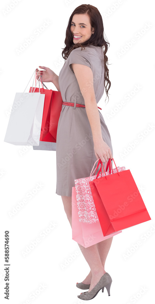 Elegant brown hair posing with shopping bags Elegant brown hair posing with shopping bags