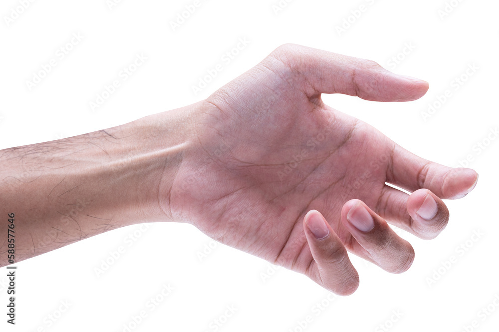 isolated of male hand holding something like a bottle or can. isolated of male hand holding something like a bottle or can.