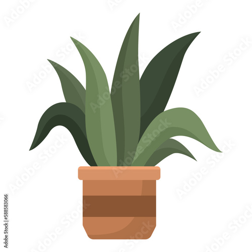 houseplant in classic pot