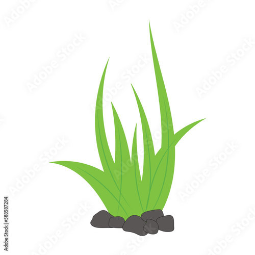 Green Grass Illustration