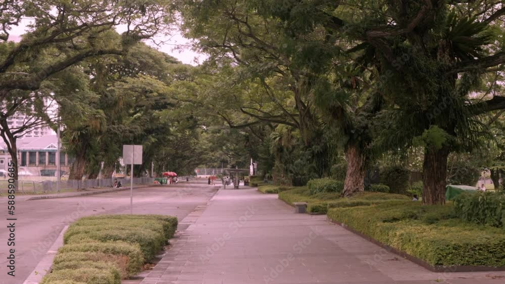 natural green landscape view outdoor in public park environment,forest nature park with many trees in the city of singapore natural green landscape view outdoor in public park environment,forest nature park with many trees in the city of singapore