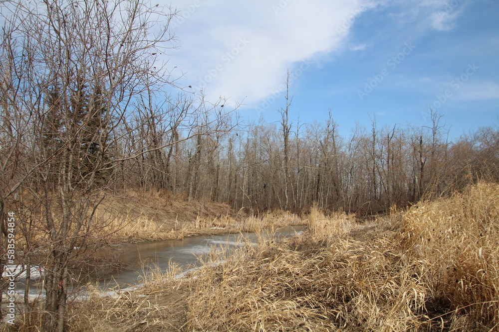 melting creek melting creek